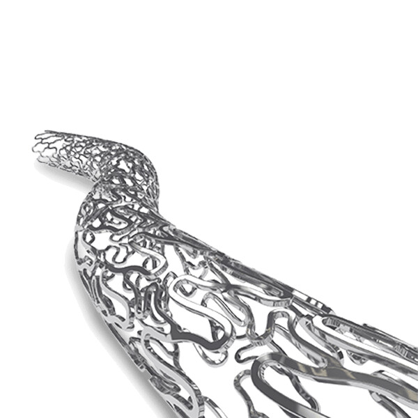 Meril BioMime coronary stent