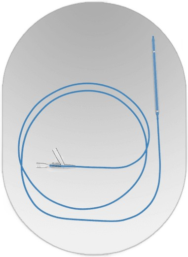 Meril Mozec balloon catheter