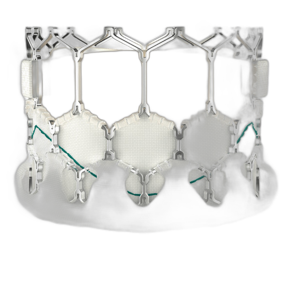 Meril Myval transcatheter heart valve