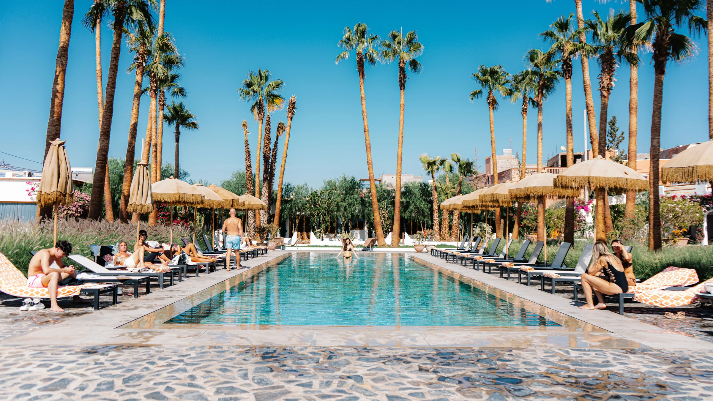 Guests relaxing beside a clear blue swimming pool at a palm-lined resort